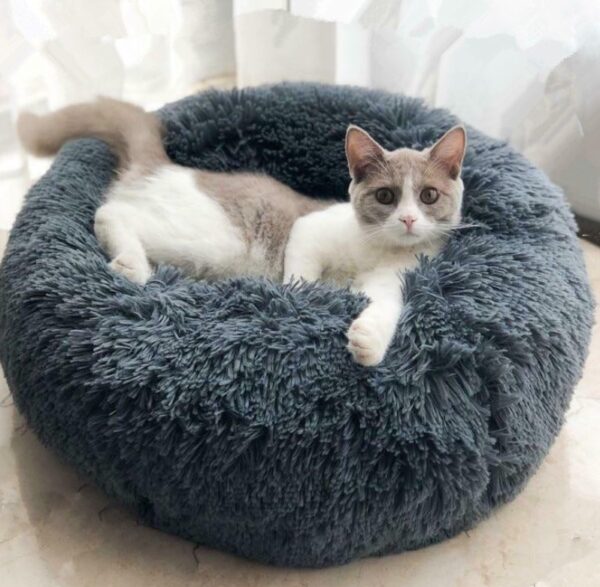 13692091898533.jpg Dog Beds For Small Dogs Round Plush Cat Litter Kennel Pet Nest Mat Puppy Beds