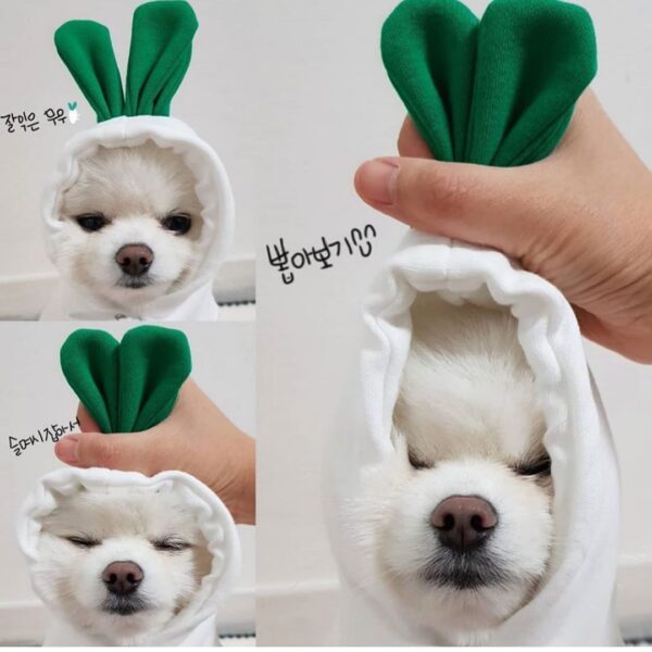 1623555230822.jpg Cute Fruit Dog Clothes For Small Dogs Hoodies Winter Warm Fleece Pet Clothing Puppy Cat Costume Coat For French Chihuahua Outfit
