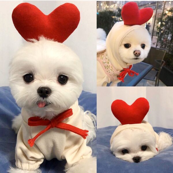 1623555230823.jpg Cute Fruit Dog Clothes For Small Dogs Hoodies Winter Warm Fleece Pet Clothing Puppy Cat Costume Coat For French Chihuahua Outfit