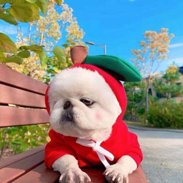 1623555230825.jpg Cute Fruit Dog Clothes For Small Dogs Hoodies Winter Warm Fleece Pet Clothing Puppy Cat Costume Coat For French Chihuahua Outfit