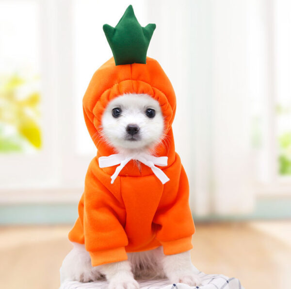 1623555230826.jpg Cute Fruit Dog Clothes For Small Dogs Hoodies Winter Warm Fleece Pet Clothing Puppy Cat Costume Coat For French Chihuahua Outfit