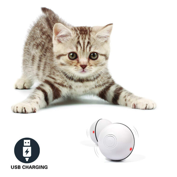 270d87a9-cbf5-4340-9ed2-a845fe2b396e.jpg LED Laser Electronic Rolling Pet Funny Cat Toy Ball