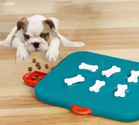 2936658675037.jpg Pet toys casino treasure hunt puzzle food spill toy