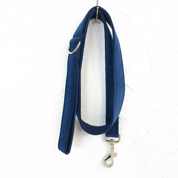 53864959743111.jpg Bow pet collar large and small pet traction collar dog chain