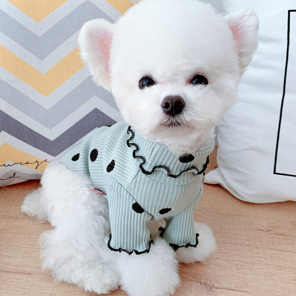631093449545.jpg Dot turtleneck dog bottoming shirt