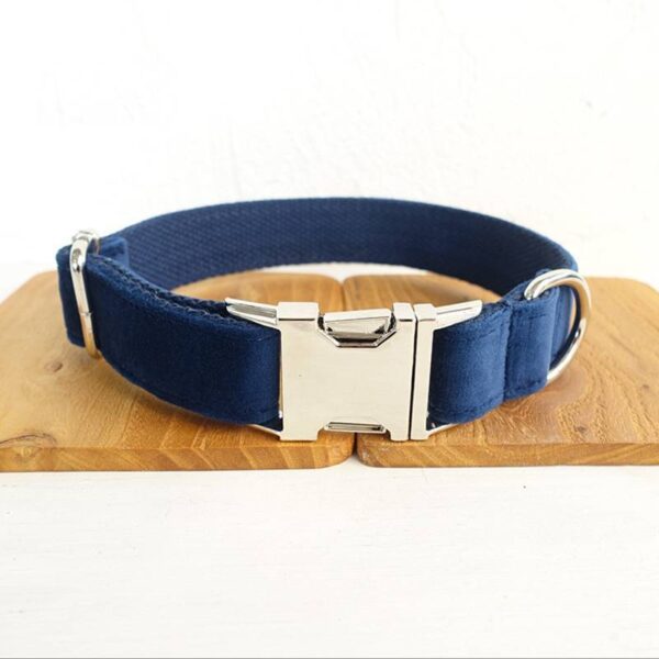 774344417670.jpg Bow pet collar large and small pet traction collar dog chain