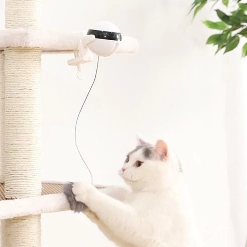 862129877849.jpg Pet Cat Toy Electronic Motion Cat Toy Interactive