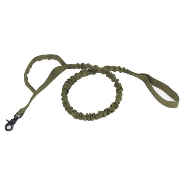 9bcc6ab7-8a61-4162-a241-940d1726e9ea.jpg Elastic Buffer Of Outdoor Pet Traction Rope
