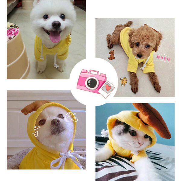 9c9ab438-36cc-4605-9418-0f543f5e4309.jpg Cute Fruit Dog Clothes For Small Dogs Hoodies Winter Warm Fleece Pet Clothing Puppy Cat Costume Coat For French Chihuahua Outfit