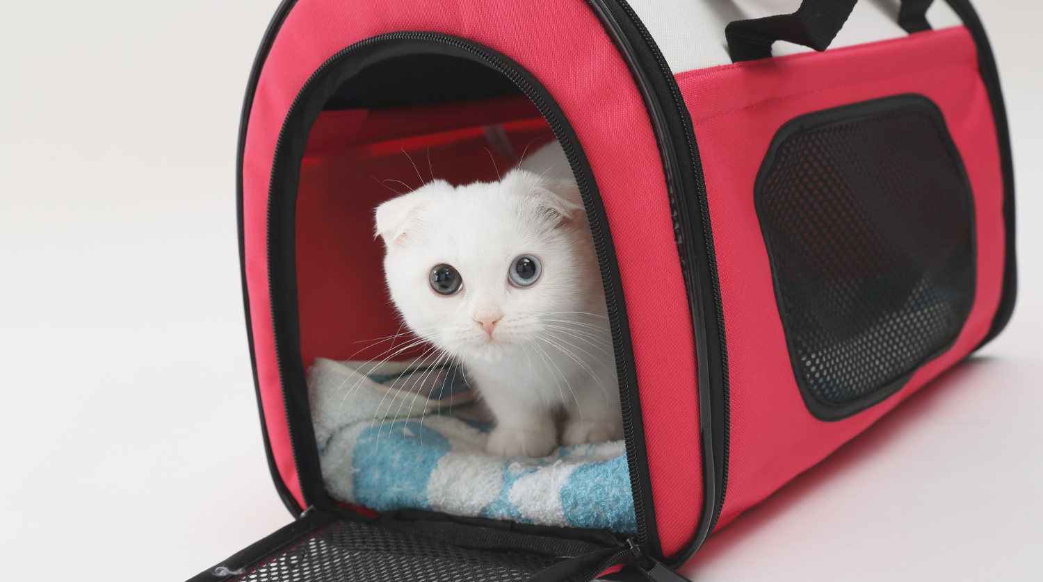 Pet Carriers