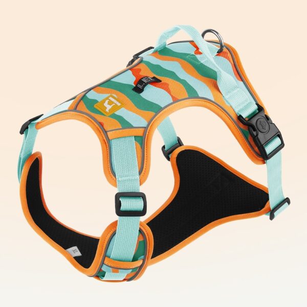 b2a8f7cf-8262-4936-9452-54826dfca3d9_trans.jpeg Dog Chest And Back Reflective Commuter Hand Holding Rope