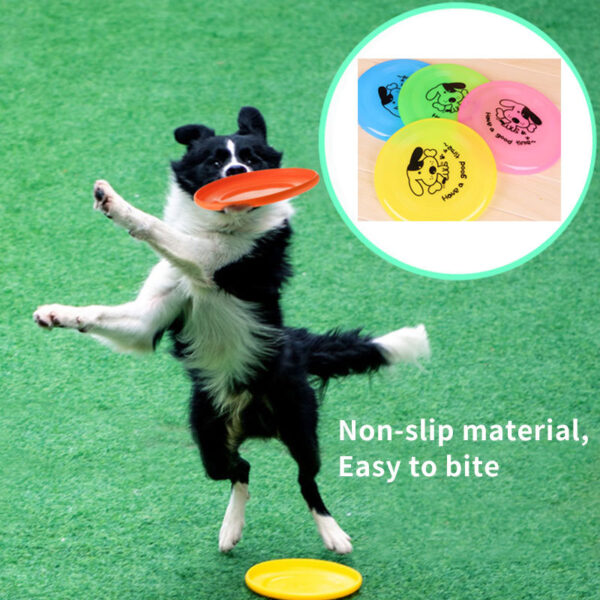 c8b4972e-bb00-4f26-a03a-b155aacfb542.jpg Pet Supplies Dog Outdoor Interactive Toys