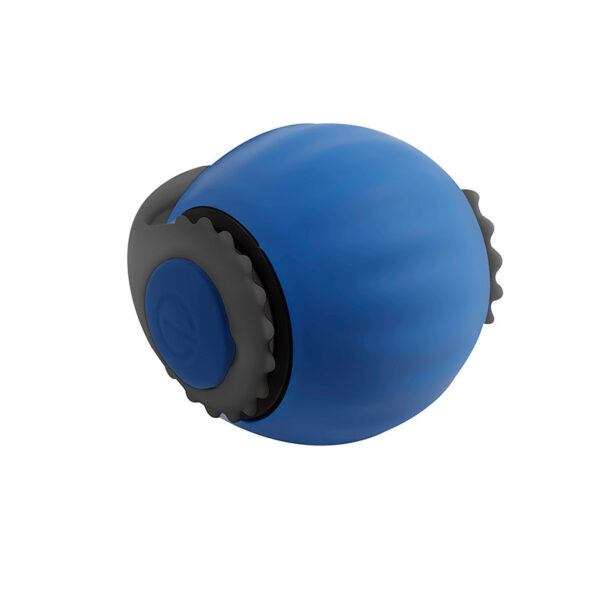 ff197579-49d4-477d-bdd5-3bec98af33d9.jpg Pet With Gravity Sudden Ball Cat Toy Ball Automatic Funny Cat